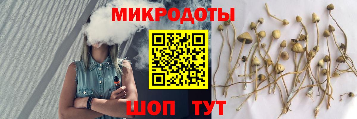 Псилоцибиновые грибы MAGIC MUSHROOMS  Псилоцибиновые грибы MAGIC MUSHROOMS  Вход с VPN  Королёв 